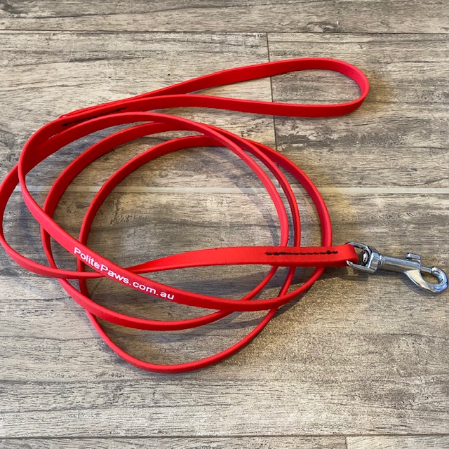 6ft Red Biothane Training Lead - Small Stainless Steel Snap - Click Image to Close